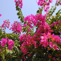 фото из отзыва ID 1700896