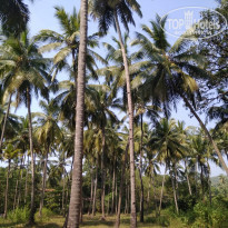 фото из отзыва ID 1700896