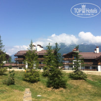 фото из отзыва ID 1701200