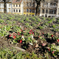 фото из отзыва ID 1701277