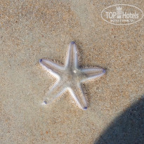 фото из отзыва ID 1701317