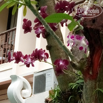 фото из отзыва ID 1701339