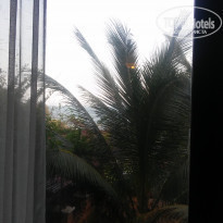 фото из отзыва ID 1701340