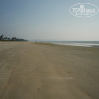 фото из отзыва ID 1701361