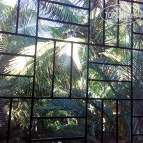 фото из отзыва ID 1701410