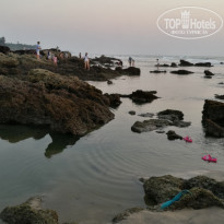 фото из отзыва ID 1701412