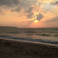 фото из отзыва ID 1701415