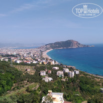 фото из отзыва ID 1701433