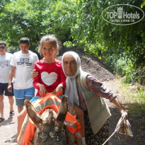 фото из отзыва ID 1701566