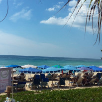 фото из отзыва ID 1701656