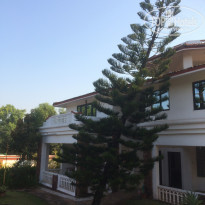 фото из отзыва ID 1701677