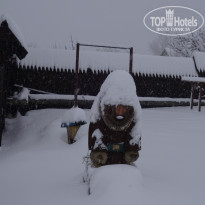 фото из отзыва ID 1701696