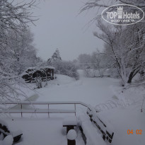 фото из отзыва ID 1701696