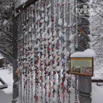 фото из отзыва ID 1701696