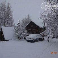 фото из отзыва ID 1701696