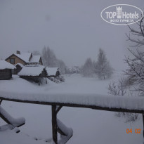 фото из отзыва ID 1701696