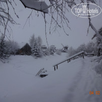 фото из отзыва ID 1701696