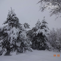 фото из отзыва ID 1701696