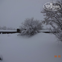 фото из отзыва ID 1701696