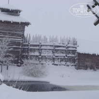 фото из отзыва ID 1701696