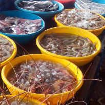 фото из отзыва ID 1701346