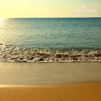 фото из отзыва ID 1701958