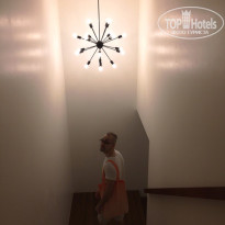 фото из отзыва ID 1702017