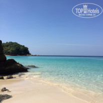 фото из отзыва ID 1702017