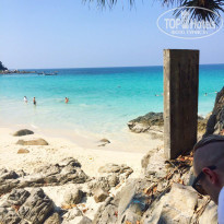 фото из отзыва ID 1702017