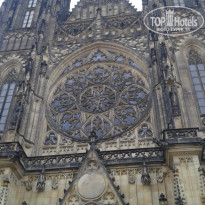 фото из отзыва ID 1702085