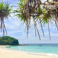 фото из отзыва ID 1702135