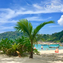 фото из отзыва ID 1702135