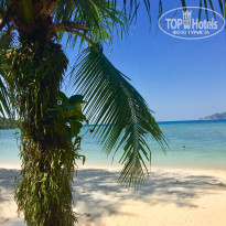 фото из отзыва ID 1702135