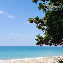 фото из отзыва ID 1702135