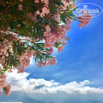 фото из отзыва ID 1702139