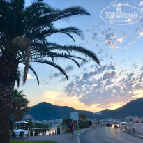 фото из отзыва ID 1702139