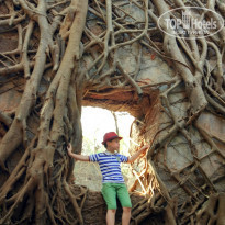 фото из отзыва ID 1702160