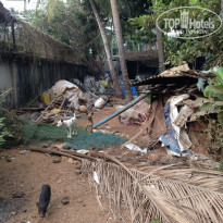 фото из отзыва ID 1702146