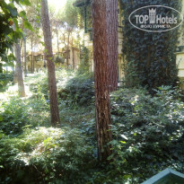 фото из отзыва ID 1702298