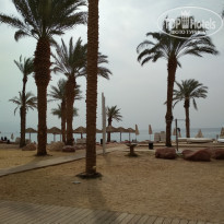 фото из отзыва ID 1702306