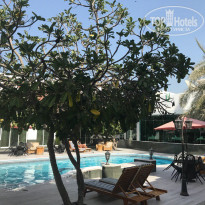 фото из отзыва ID 1702687