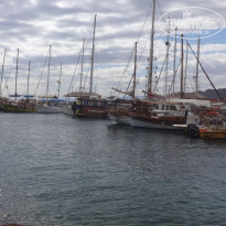 фото из отзыва ID 1702743