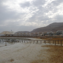 фото из отзыва ID 1702743