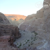 фото из отзыва ID 1702743