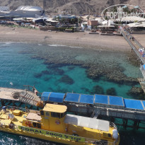 фото из отзыва ID 1702743