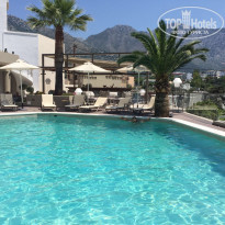 фото из отзыва ID 1702827