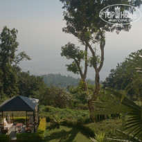 фото из отзыва ID 1702844