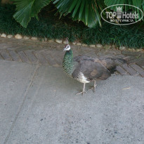 фото из отзыва ID 1702844