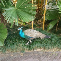 фото из отзыва ID 1702844