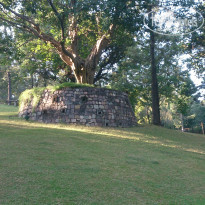 фото из отзыва ID 1702844